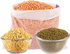 dals-pulses-cat dals-pulses-cat